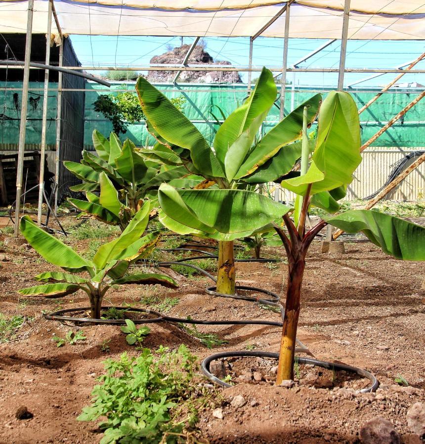 Finca Berolo 1 เกีย เด อิโซรา ภายนอก รูปภาพ