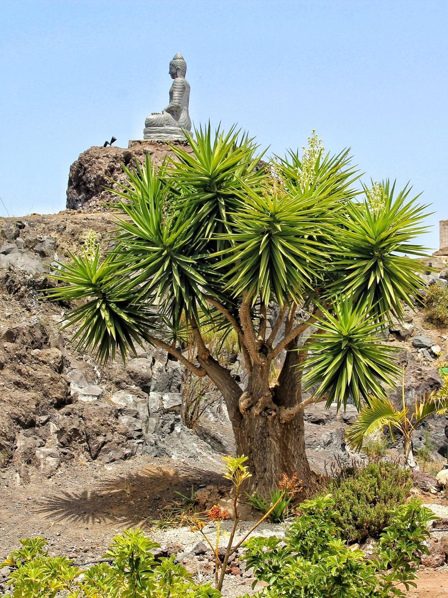 Finca Berolo 1 เกีย เด อิโซรา ภายนอก รูปภาพ